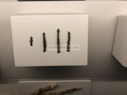 Tumba de la Almoloya 2022